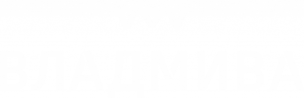 Logo_vmv_white.png